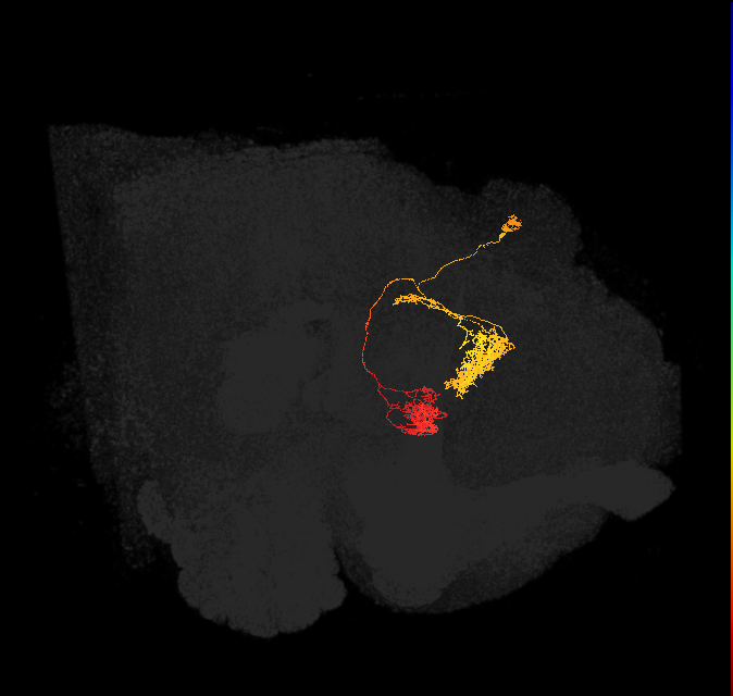 Delta6L_07