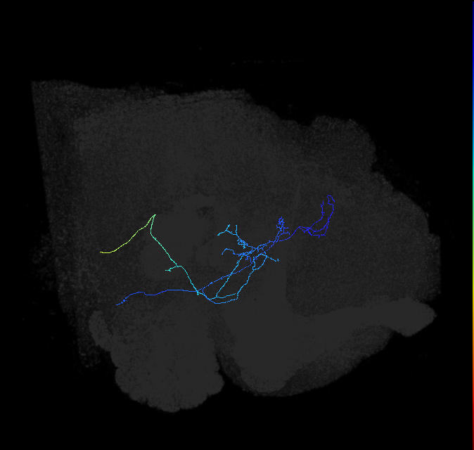 AVL02olc_pct_R