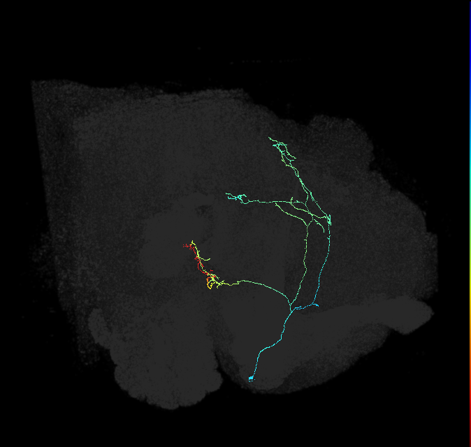 ADL06k_pct_R