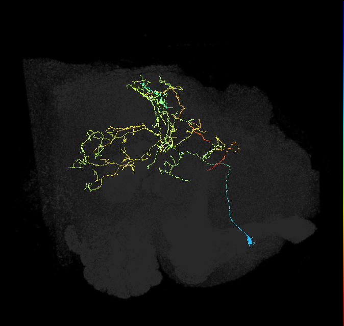 ADL27a_pct_R