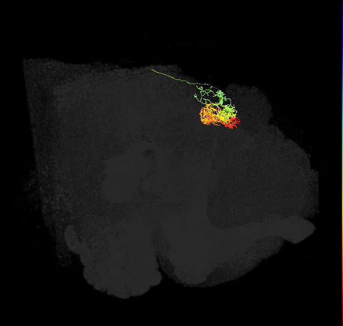 Delta7(PB15)_L2R7_R