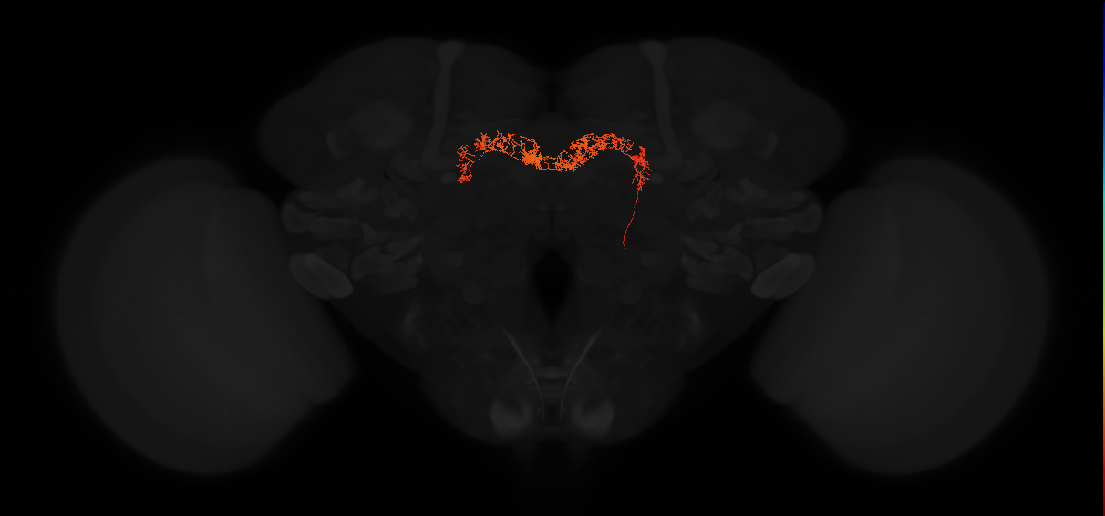 Delta7(PB15)_L2R7_R