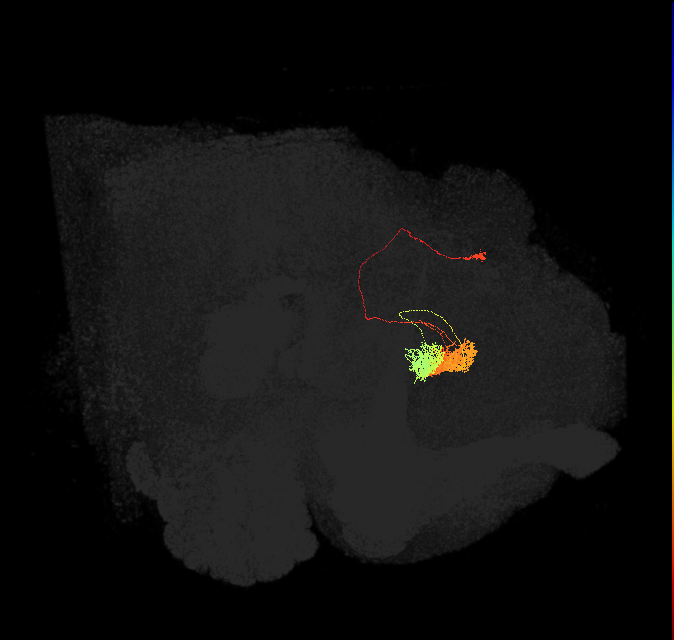Delta6D_10
