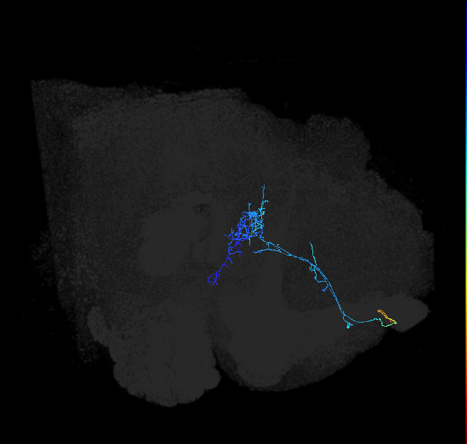 ADL14m_c_pct_R