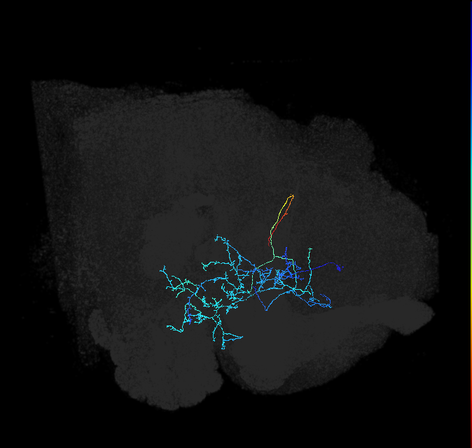 ADL21p_pct_R