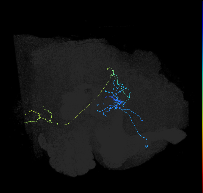 ADL12a_c_pct_R