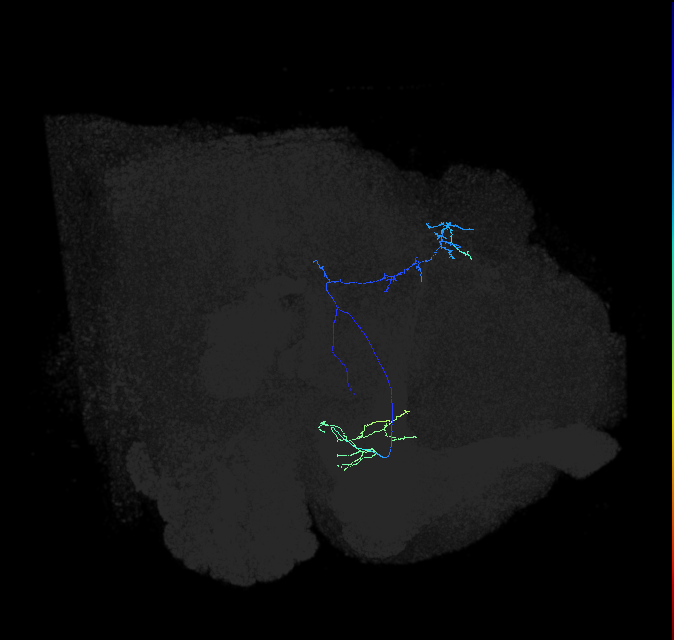 AVL04n_b_pct_R