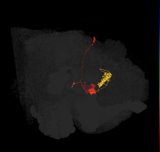 Delta6L_14
