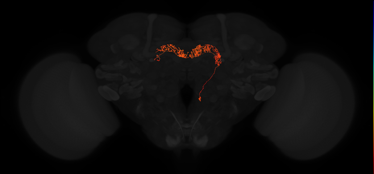 Delta7(PB15)_L2R7_R