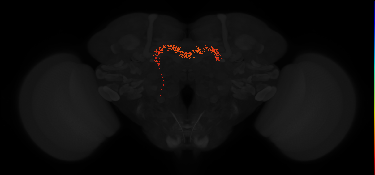 Delta7(PB15)_L6R3_L