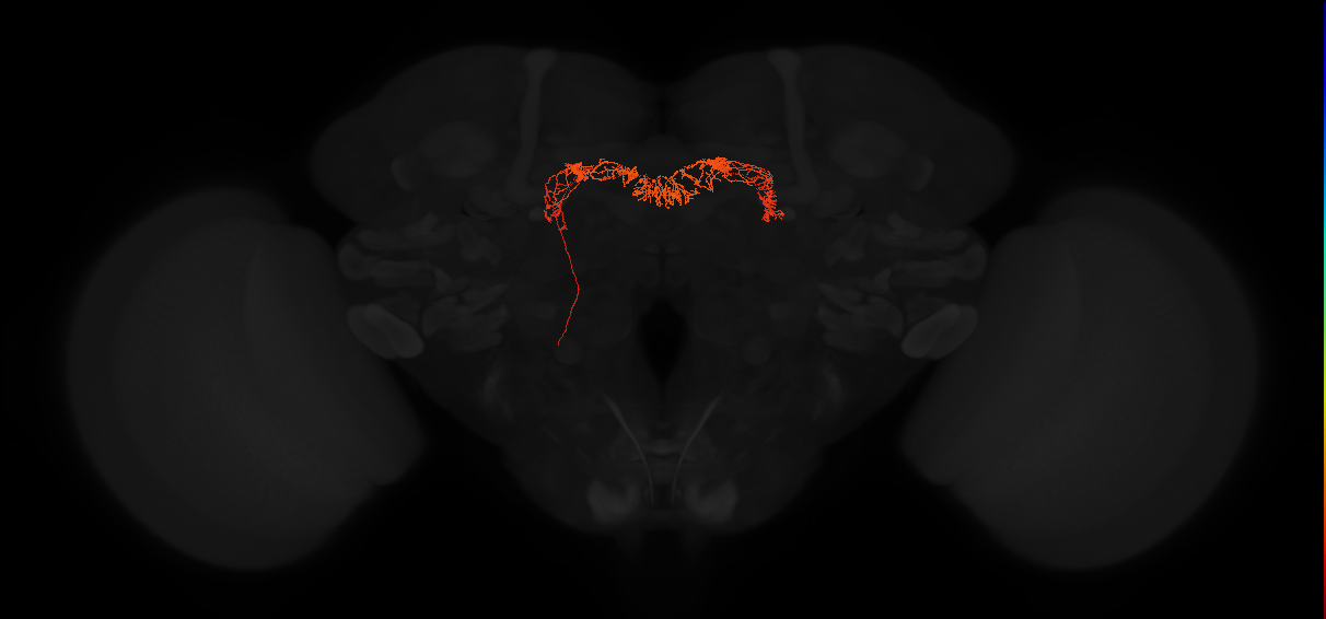 Delta7(PB15)_L5R4_L