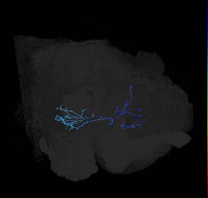 ADL01b_pct_R