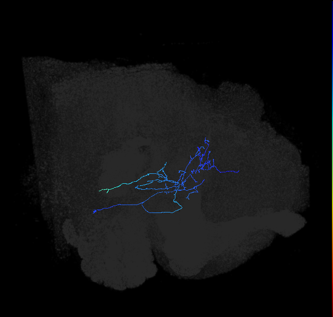 AVL02or_pct_R