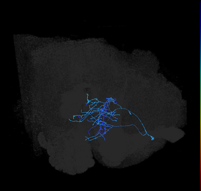 ADL14p_pct_R