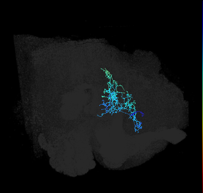ADL02y_pct_R