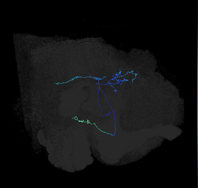 AVL04b_pct_R
