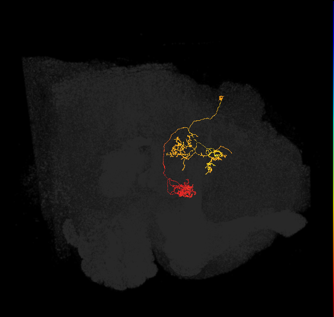 Delta6C_07
