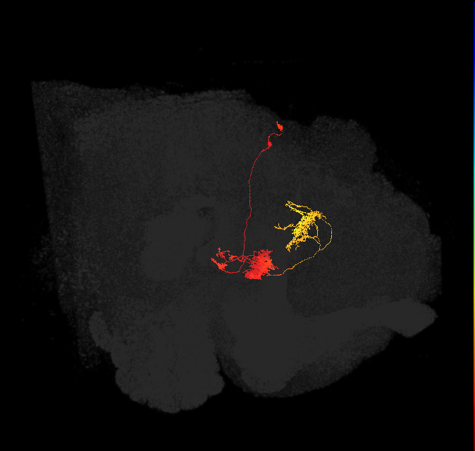 Delta6G_14