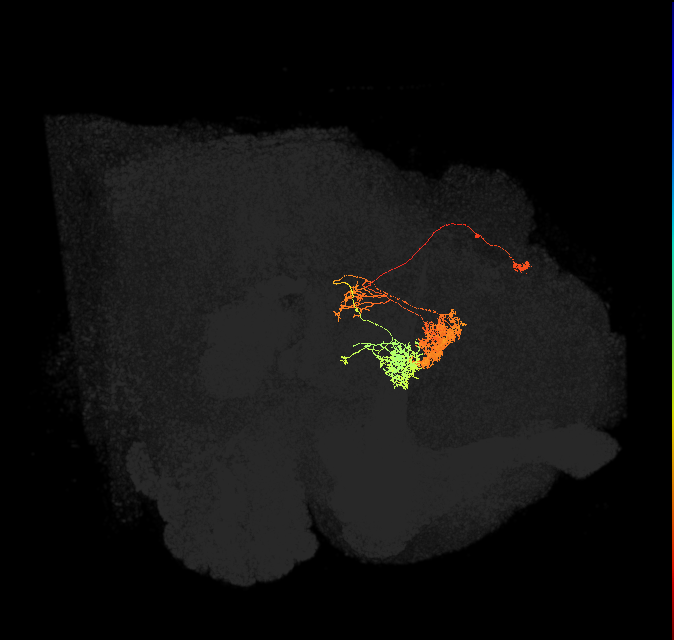 Delta6L_10