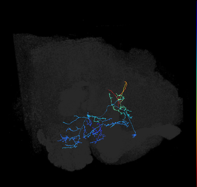 ADL12e_pct_R