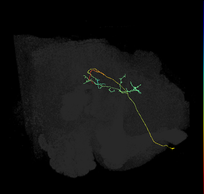 ADM01j_b_pct(aSP1a)_R