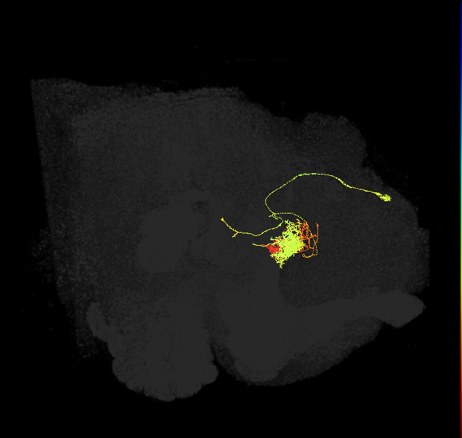 Delta6F_03