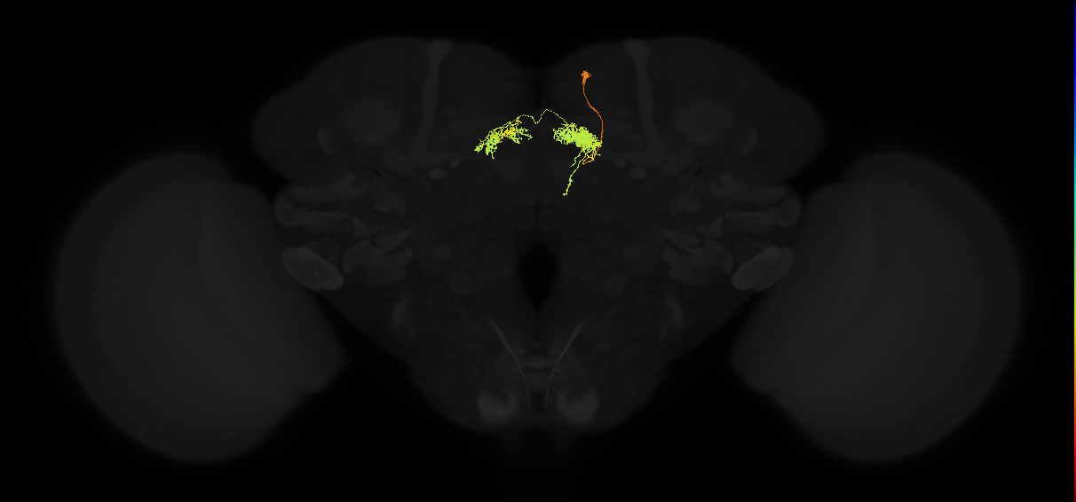Delta6F_03