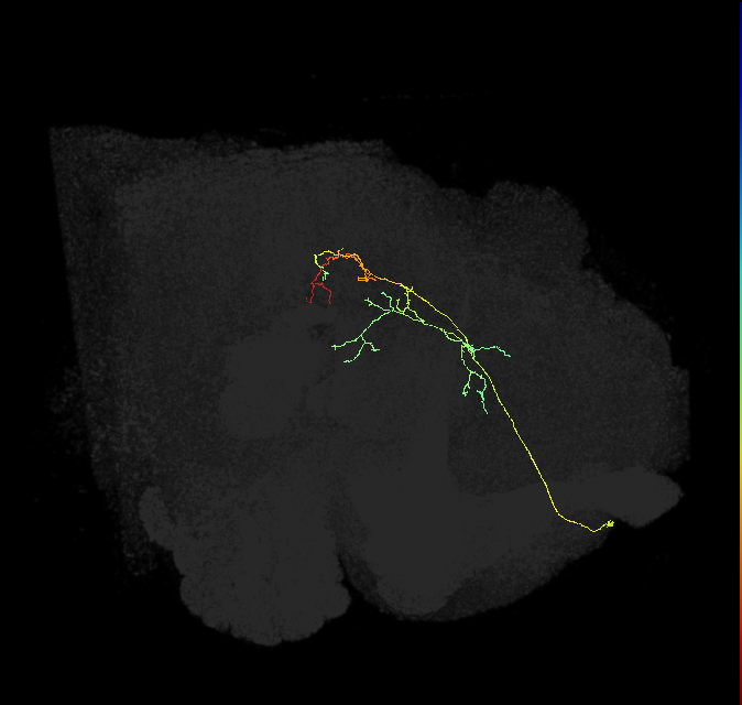 ADM01ov_pct(aSP1a)_R