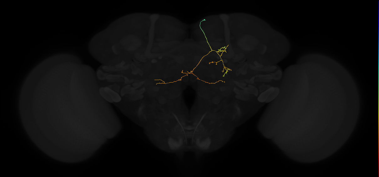 ADM01ov_pct(aSP1a)_R