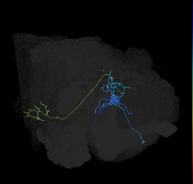 ADL12a_c_pct_R