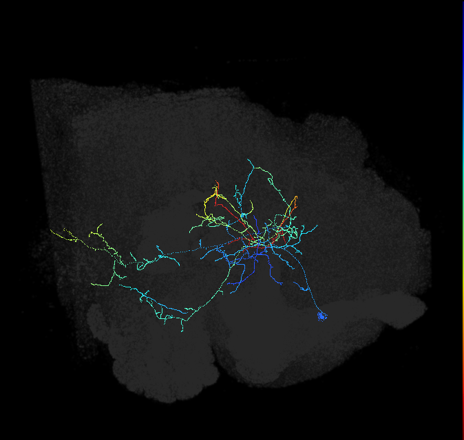 ADL12q_pct_R