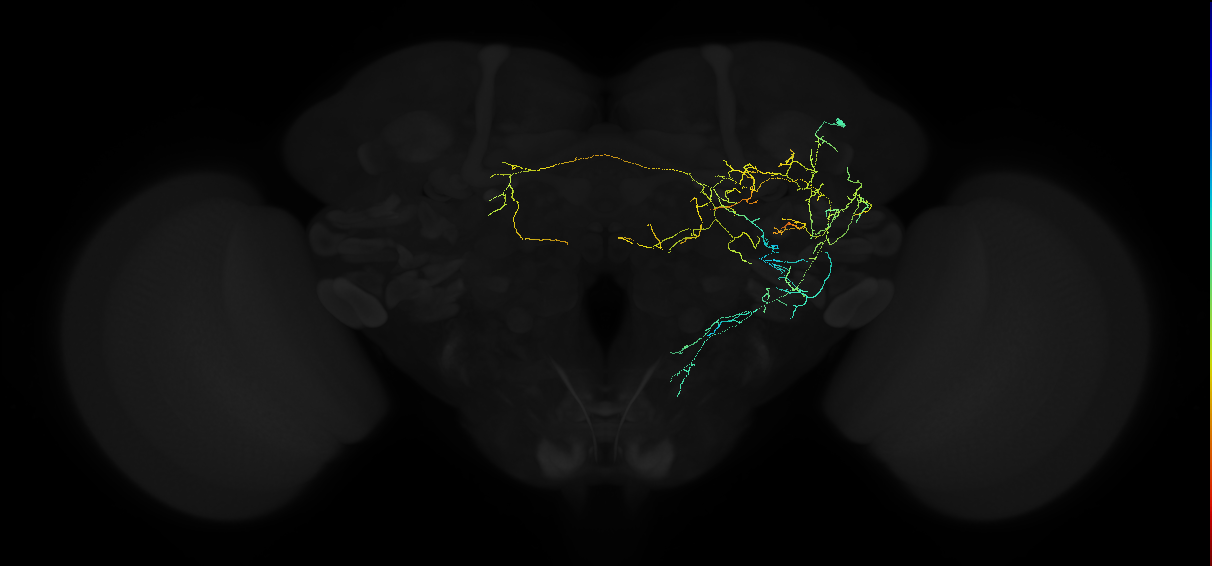 ADL12q_pct_R
