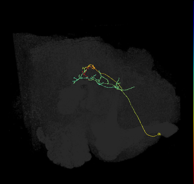 ADM01j_b_pct(aSP1a)_R