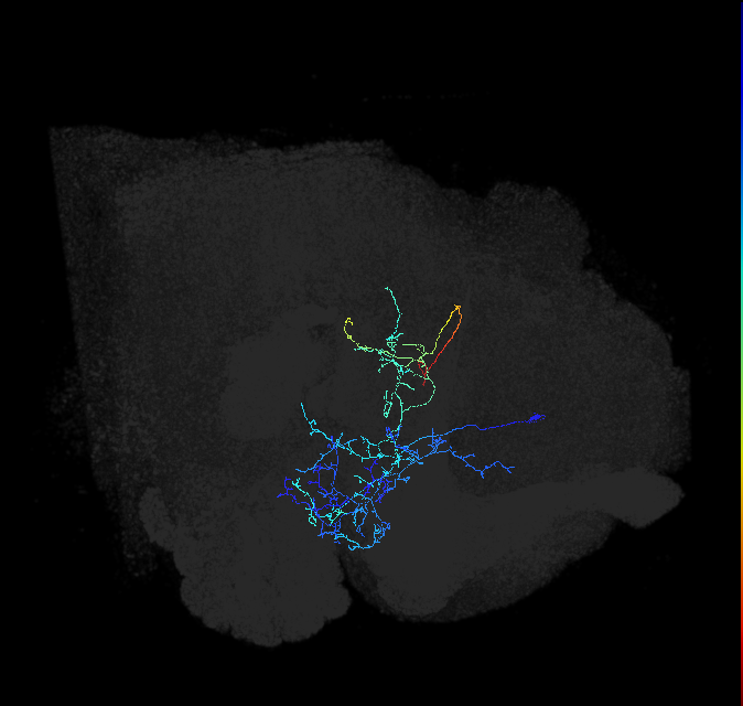 ADL21i_pct_R