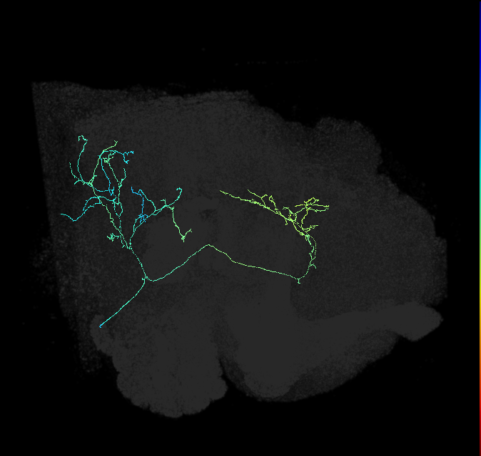 AVL01od_pct_R