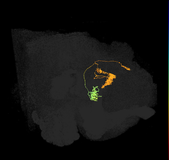 Delta6G_08