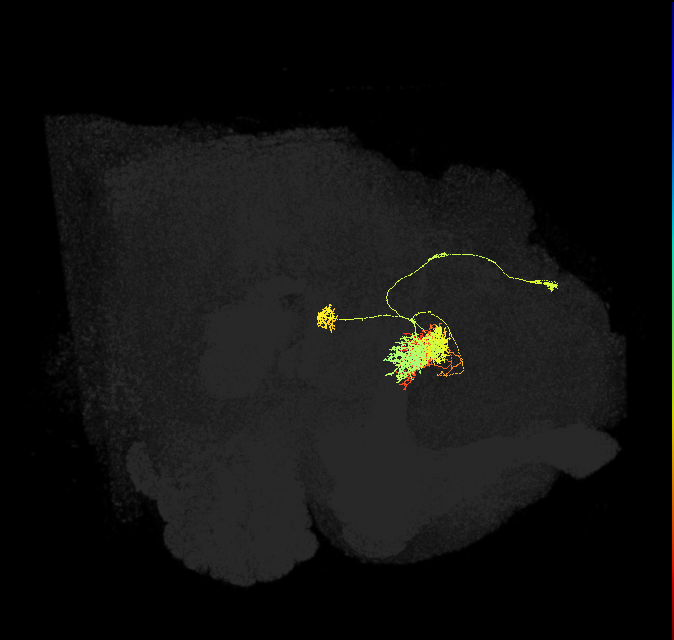 Delta6F_02