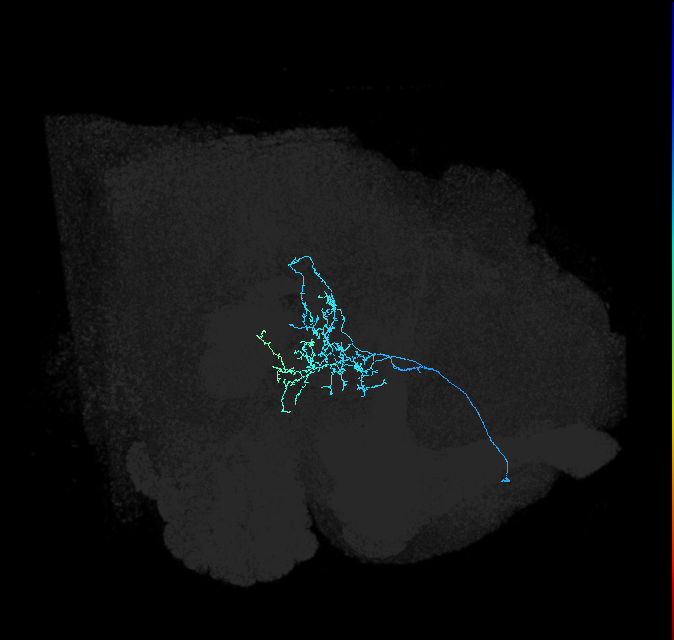 ADL14r_pct_R