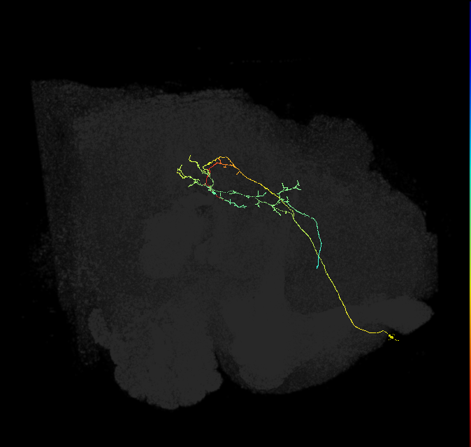 ADM01oq_pct(aSP1a)_R