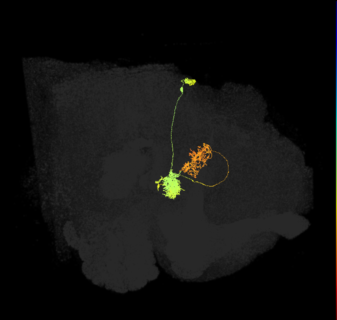 Delta6A_01