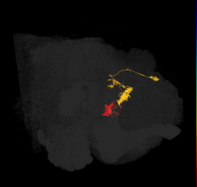 Delta6G_07