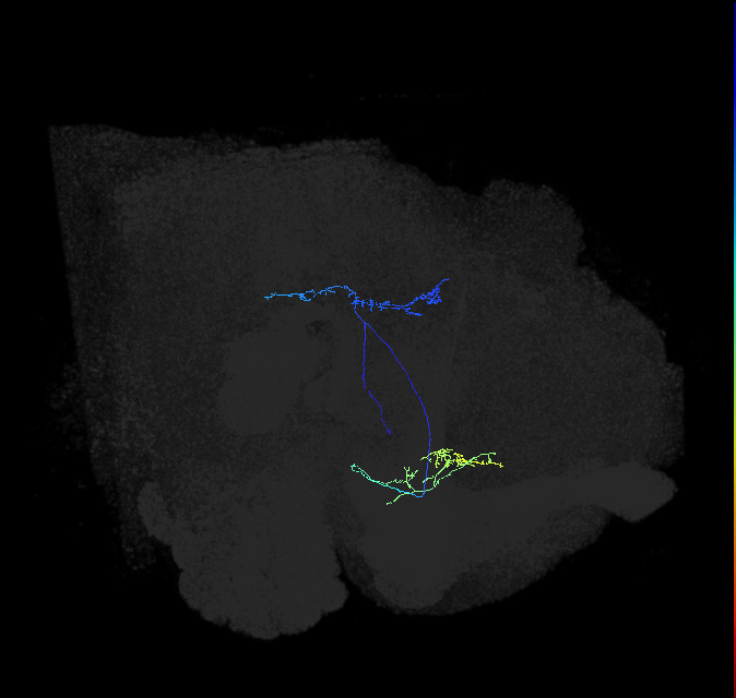 AVL04a_b_pct_R