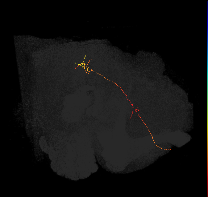 ADM01b_b_pct(ADM01)_L
