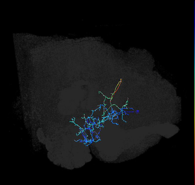 ADL21s_pct_R