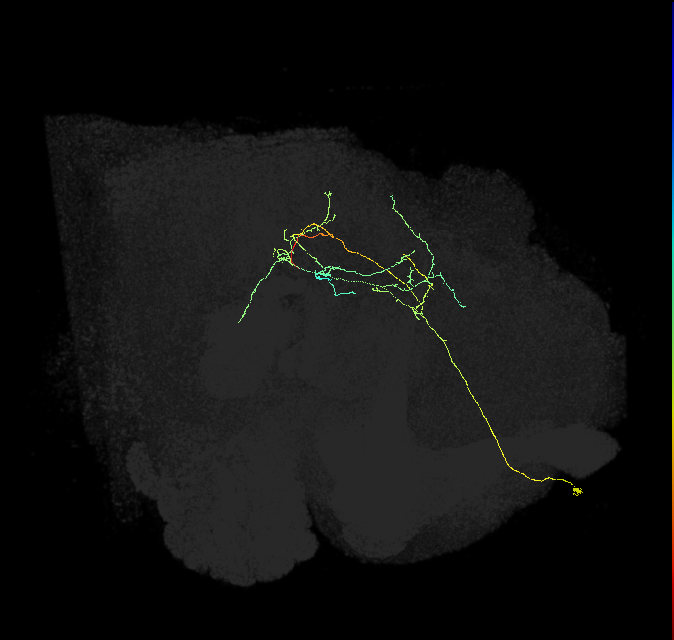 ADM01oq_pct(aSP1a)_R