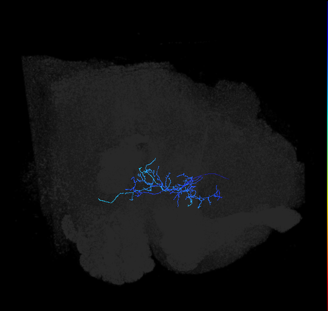 ADL01e_pct_R