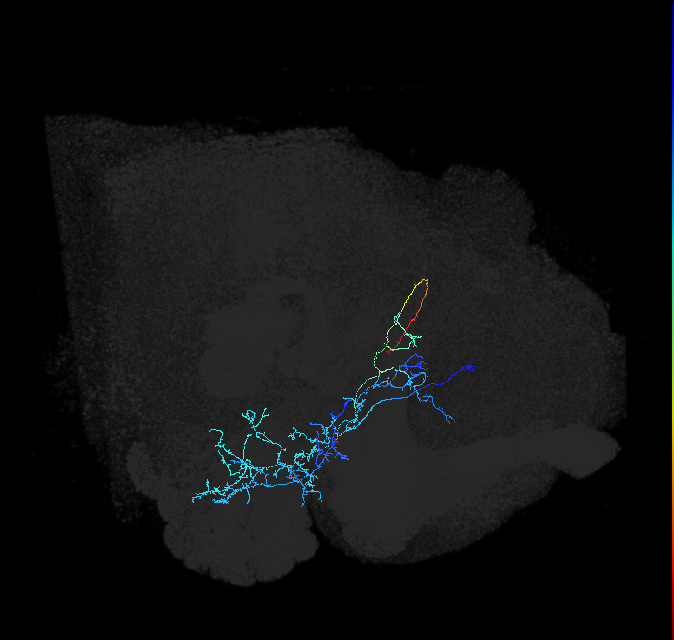 ADL21q_pct_R