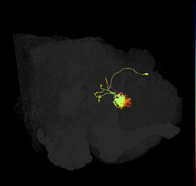 Delta6L_03