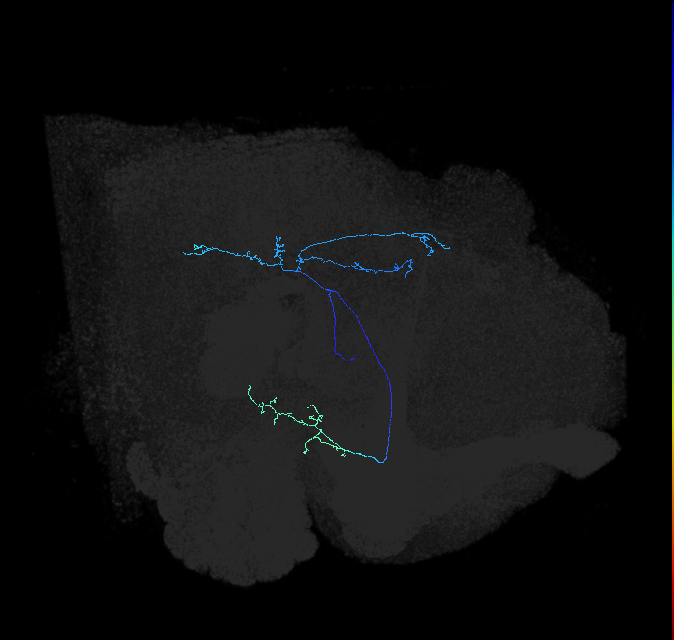 AVL04od_pct_R