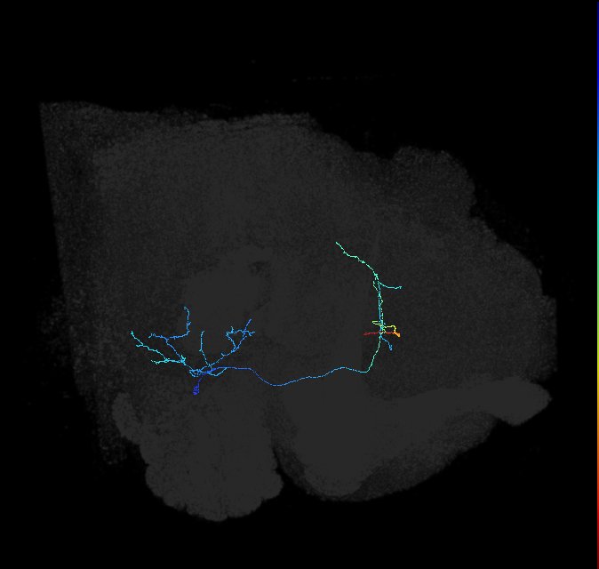 AVL02r_pct(aIP2b)_R